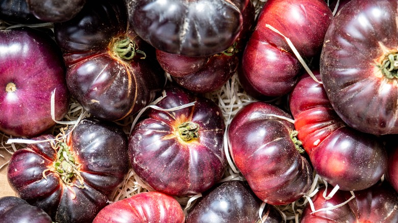 Cherokee Purple salad tomatoes