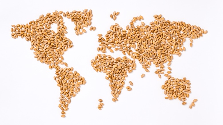 world map made of wheat grains