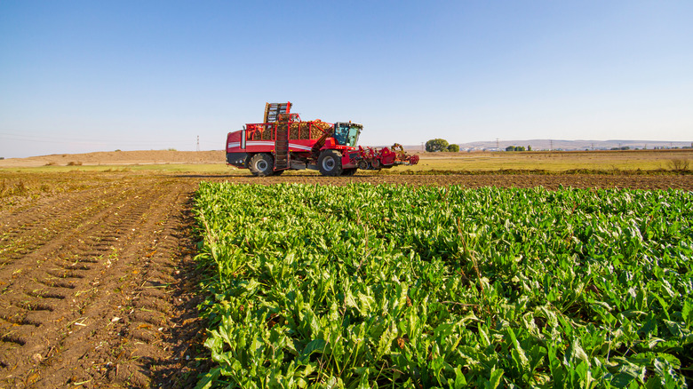 tractor harvesting crops