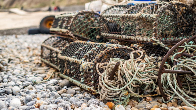 lobster pots left on a beach