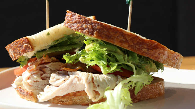 panera sandwich turkey 