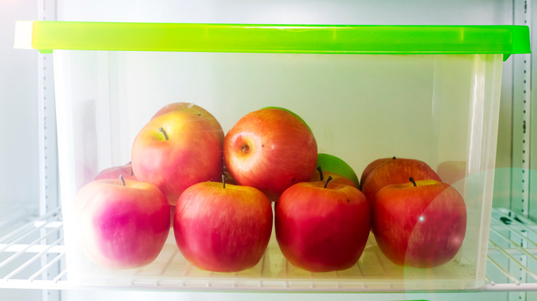 Refrigerated container of apples