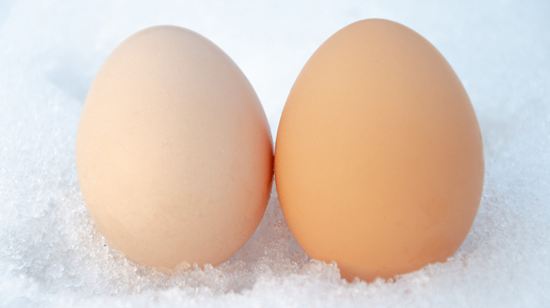 Chicken eggs in snow