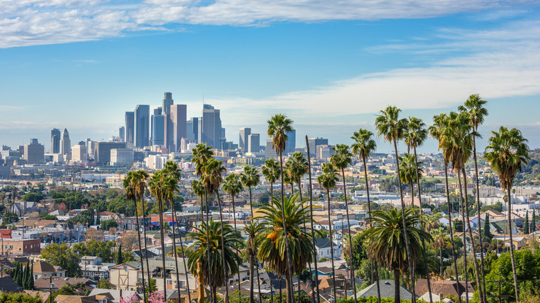 Panorama of Los Angeles