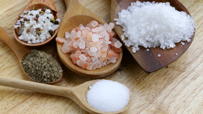 Multiple kinds of salts on wooden spoons