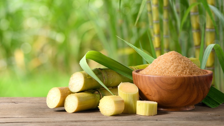 sugar cane stalks and sugar 