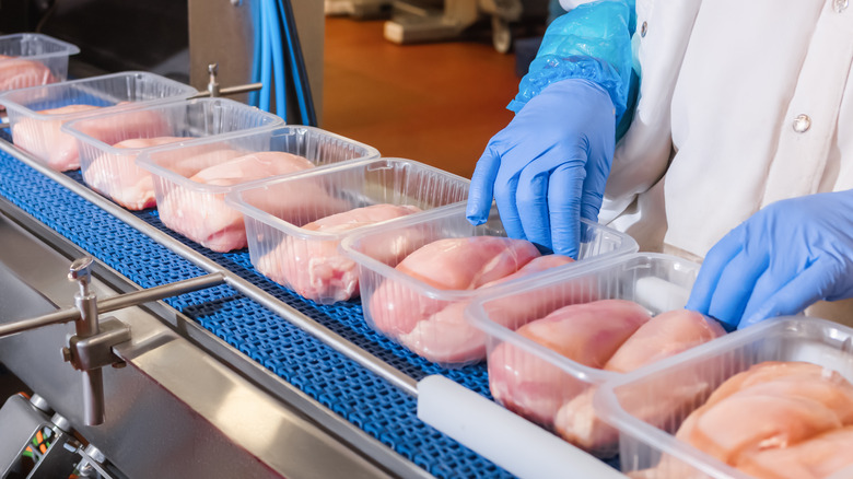 conveyor belt of dressed chicken