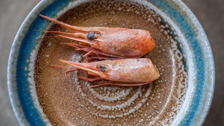 a prawn dish from Noma