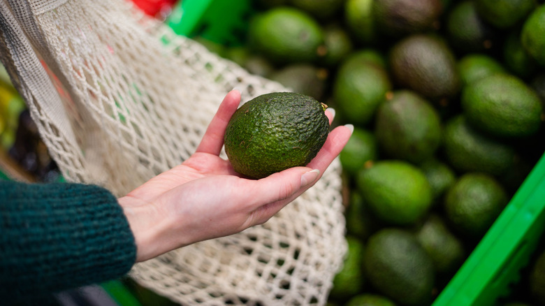 hand holding avocado