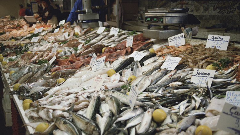 Fish market piles of fish