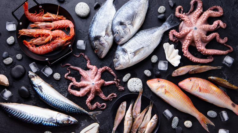 overhead image of various seafood