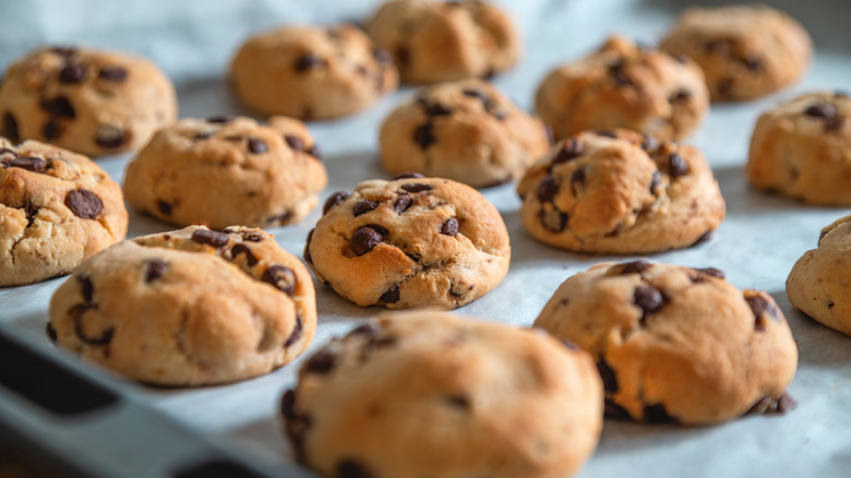 chocolate chip cookies on tray