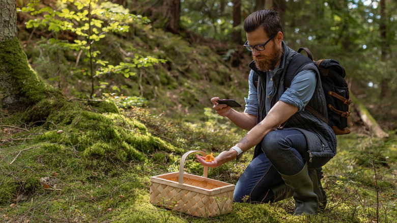 Person foraging for mushrooms