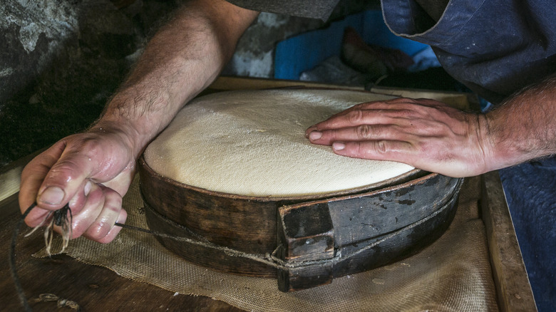 cheesemaker processing cheese