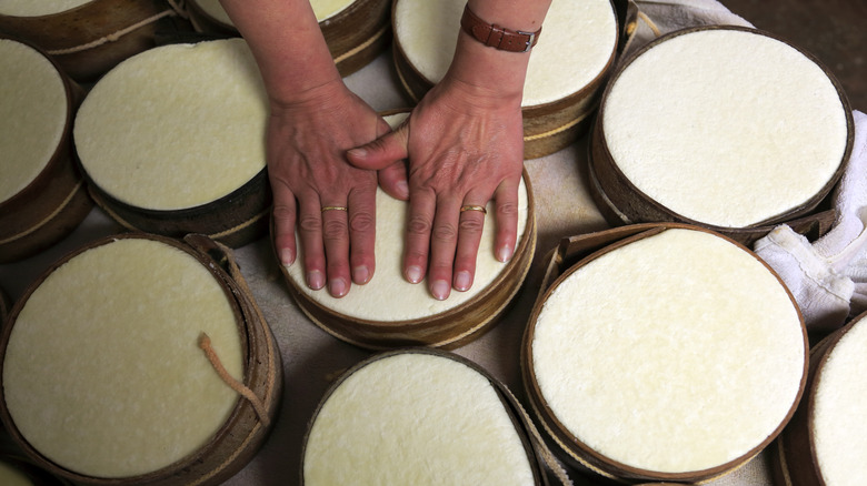 person making artisan cheese