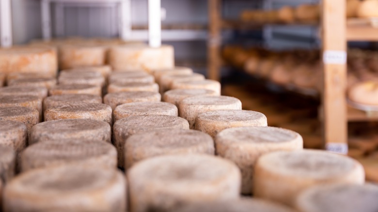 aging cheeses on racks