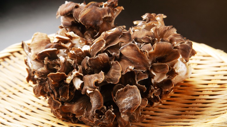 maitake mushroom on wicker plate