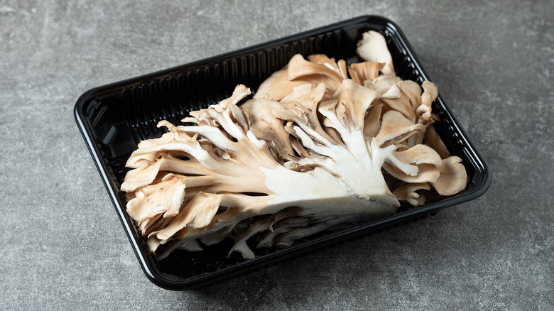 maitake mushroom in container