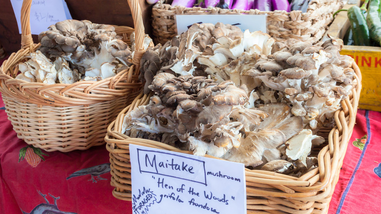 maitake mushrooms at market