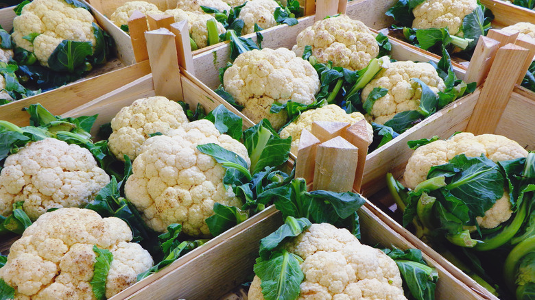 cauliflowers in boxes from harvest