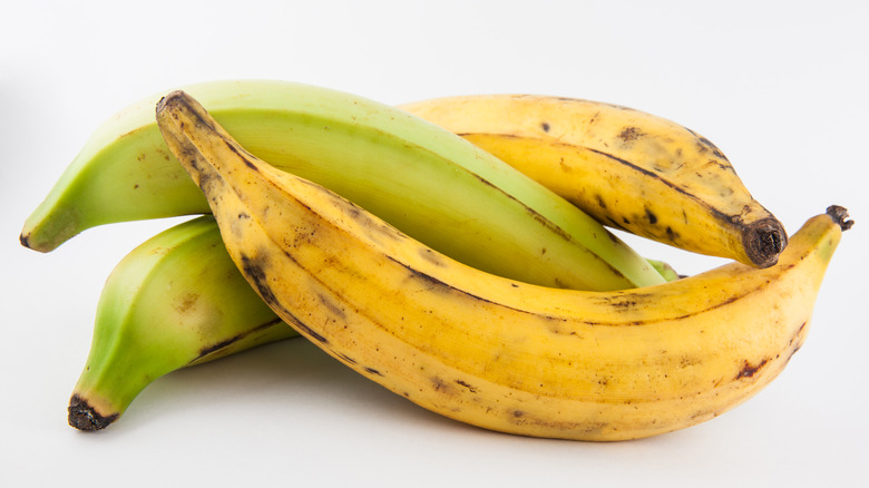 plantains