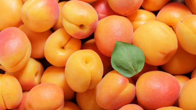 Pile of ripe apricots