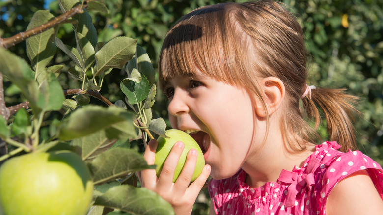 Girl eating green apple 