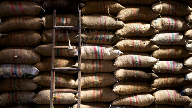 coffee beans in burlap sacs