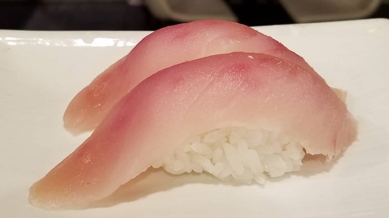 shiro maguro