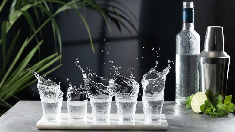 Shot glasses filled with vodka