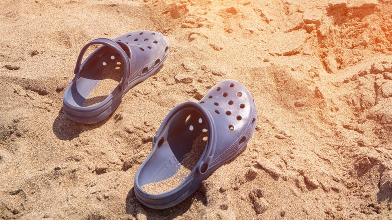 Crocs on a beach