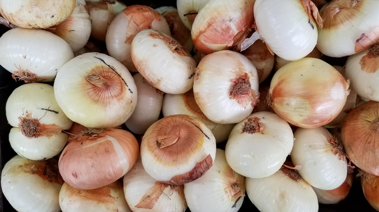 Vidalia onions