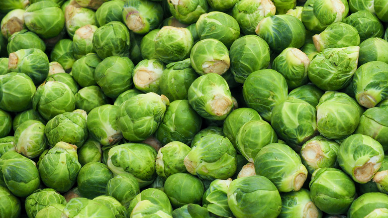 Pile of uncooked Brussels sprouts