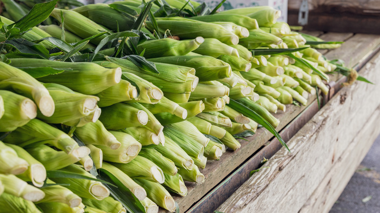 Stack of fresh corn at market