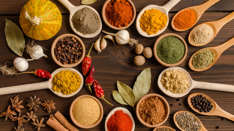 Spoonfuls of differents spices