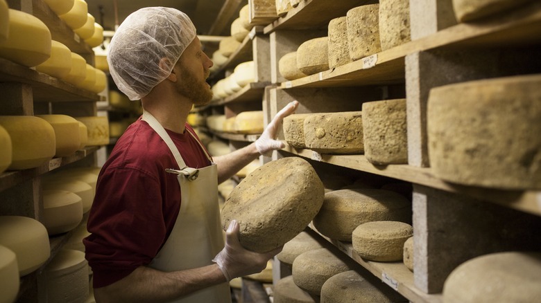 Cheesemonger in a cheese shop