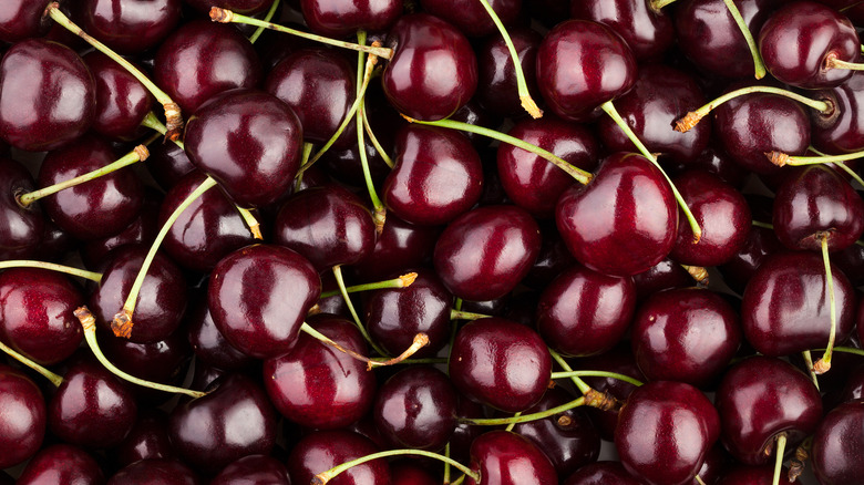 Pile of Bing Cherries 