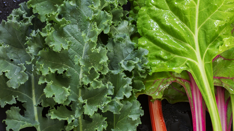 kale and swiss chard leaves