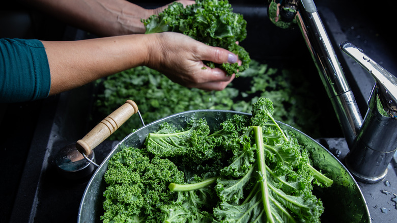 washing kale leaves