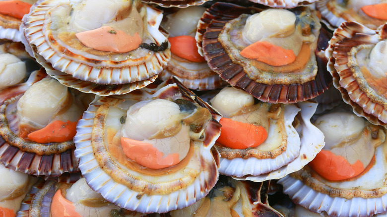 Several scallops with pink roe