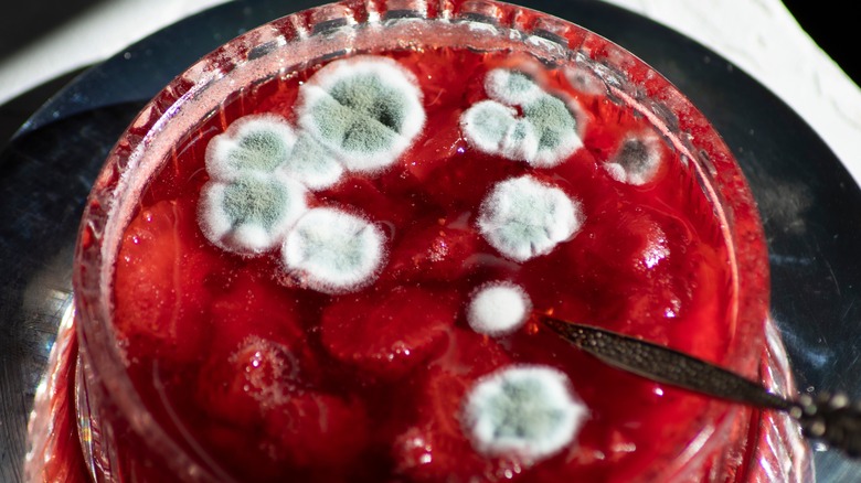 mold on top of strawberry jam