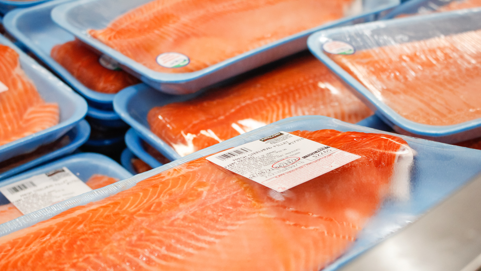 When Buying Salmon Opt For Wild Caught Over Farm Raised