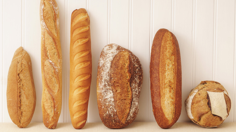 Lineup of rustic bread options