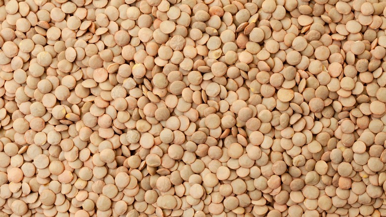 uncooked brown lentils 