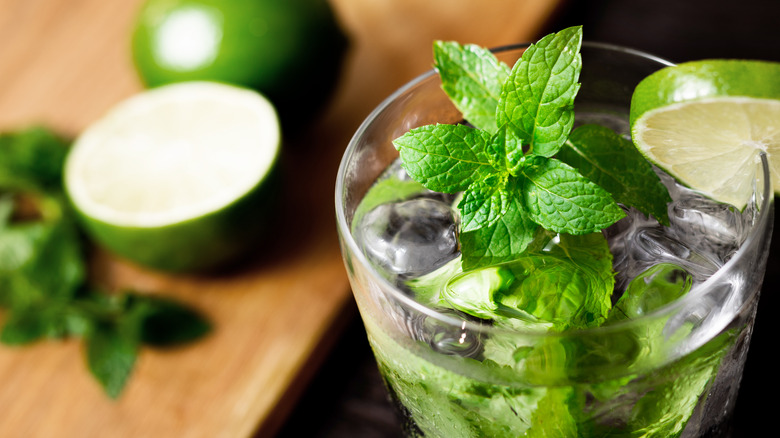 Fresh mojito with mint garnish