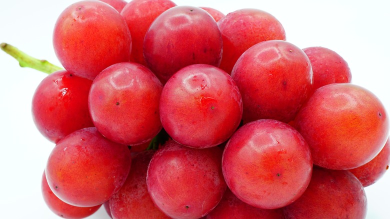 Ruby Roman grapes against white