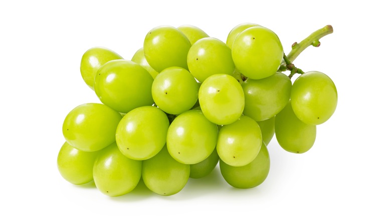 Shine Muscat grape bunch against white