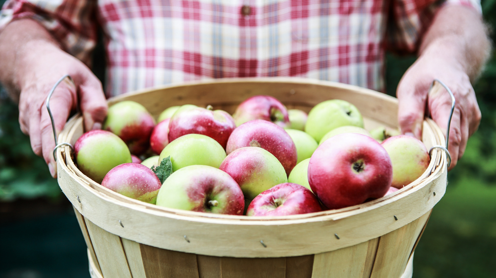 Which US State Produces The Most Apples 