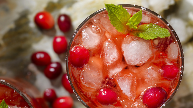 cranberry and mint vodka cocktail