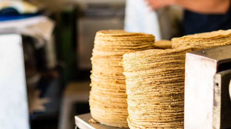 Stacks of corn tortillas